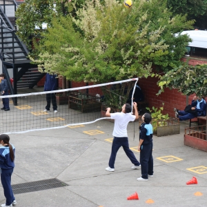 Día de la Actividad Física